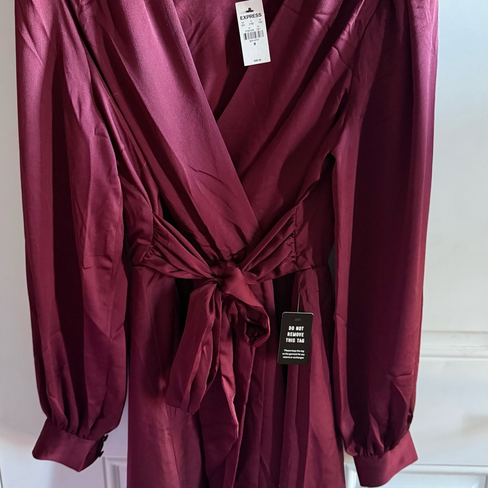 Express Burgandy Satin Dress NWT
